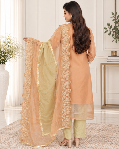 Zahra-E-Noor : Terracotta & Sage Colorblock Embroidered Suit