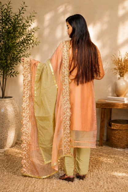 Terracotta & Sage Colorblock Embroidered Suit