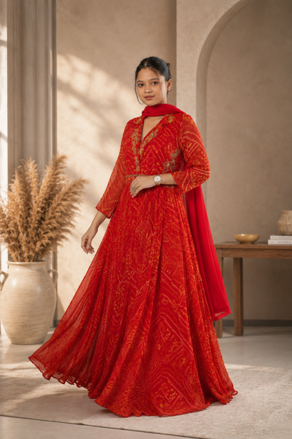 Noor-e-Rubab – Collar Neck Anarkali Gown