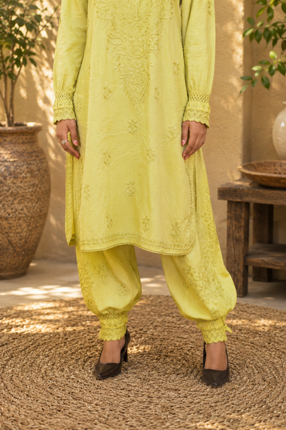 Noor-e-Lucknow - Chikankari Embroidered Kurta Salwar