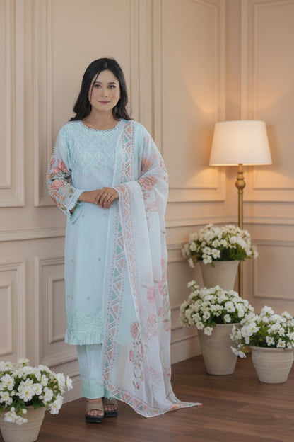 Pakistani Suit 11