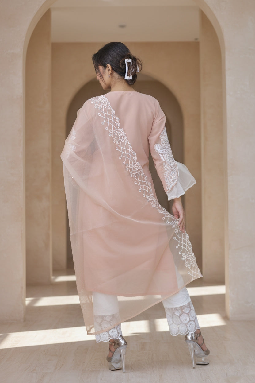 Pakistani Suit 28