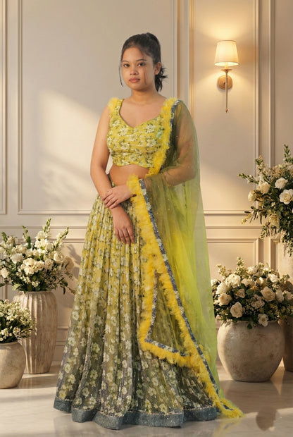 Lehenga 13