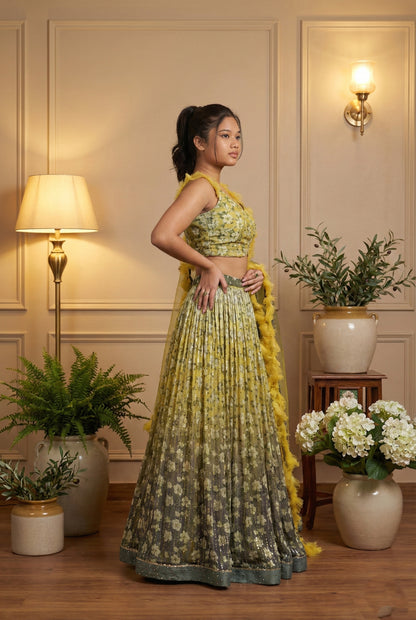 Lehenga 13