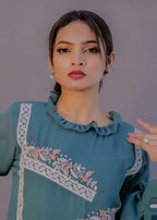Embroidered straight kameez