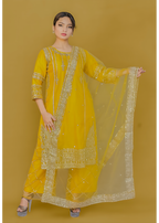 Straight embroidered kameez/kurta