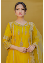Straight embroidered kameez/kurta